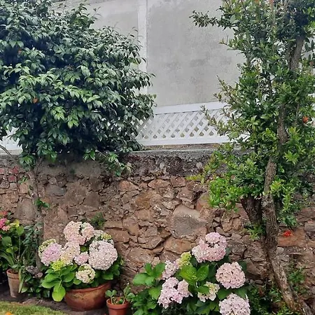 Casa Vitorino's Holiday home Vale de Maceira